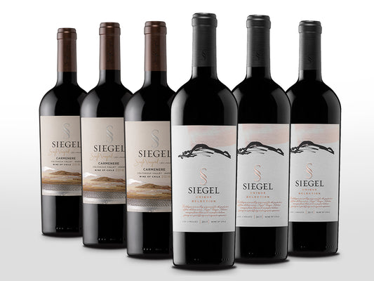 Siegel Unique Selection 2017, Siegel Single Vineyard Carmenère 2017 6x750ml